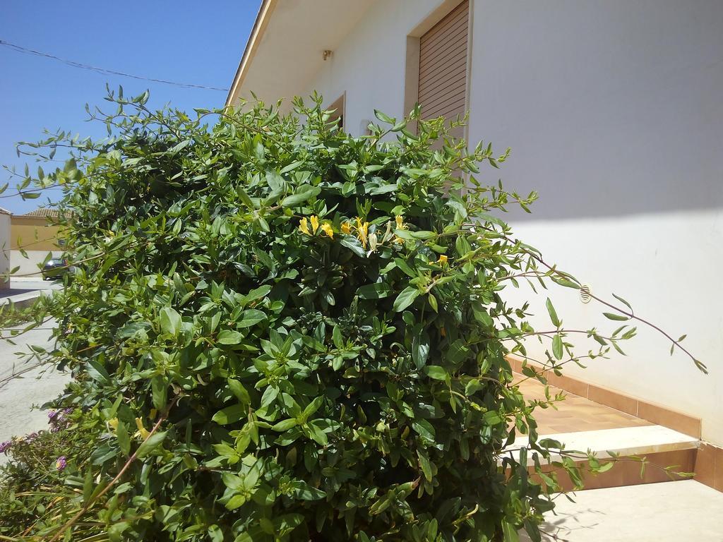 Hostal Casa Bianca Da Giusy Birgi Vecchi Exterior foto